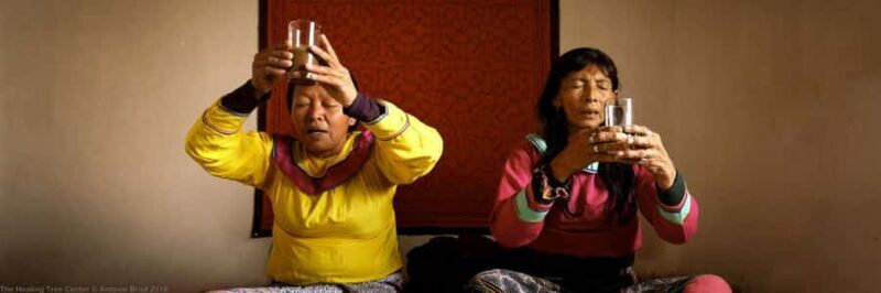 Wachuma+Ayahuasca Retreat, 2 Days - Intermediate Package - A Closer Look at the Wachuma + Ayahuasca Retreat in Cusco