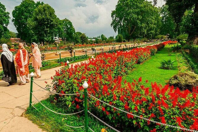 Wahga Border Flag Ceremony & Shalimar Garden Private Tour - An In-Depth Look at the Experience