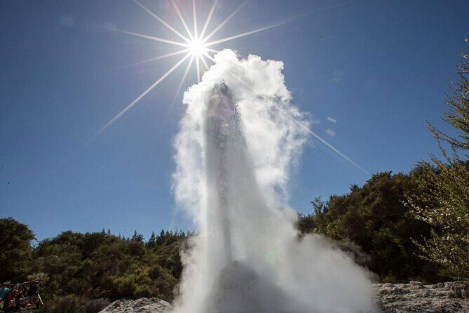 Wai-O-Tapu to Redwoods and Secret Spot Private Tour from Auckland - Exploring the Full Itinerary in Detail