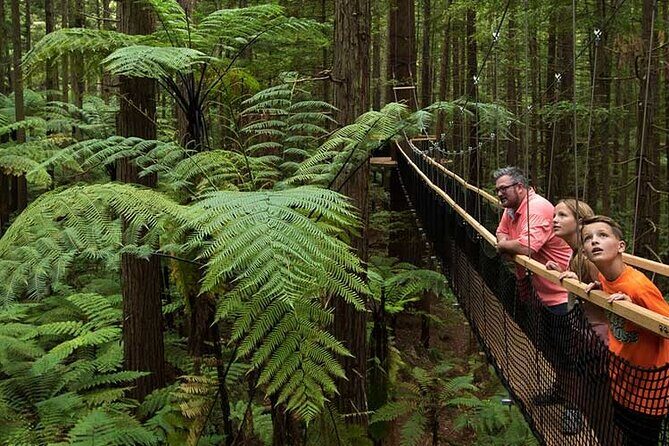 Wai-O-Tapu to Redwoods and Secret Spot Private Tour from Auckland - FAQ