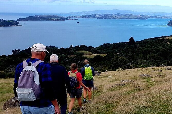 Waiheke Island 5 Day Self Guided Walking Adventure - Exploring Waiheke Island with the 5-Day Self-Guided Walking Adventure