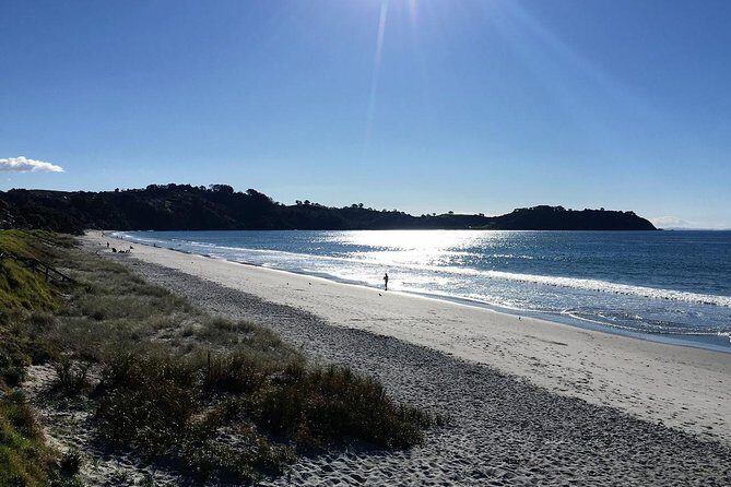Waiheke Island Bush & Beach Walk - A Detailed Look at Waiheke Island Bush & Beach Walk