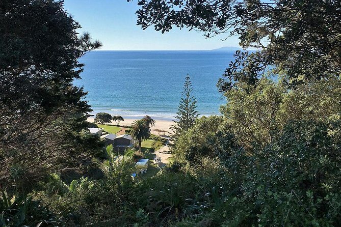 Waiheke Island Bush & Beach Walk - The Sum Up