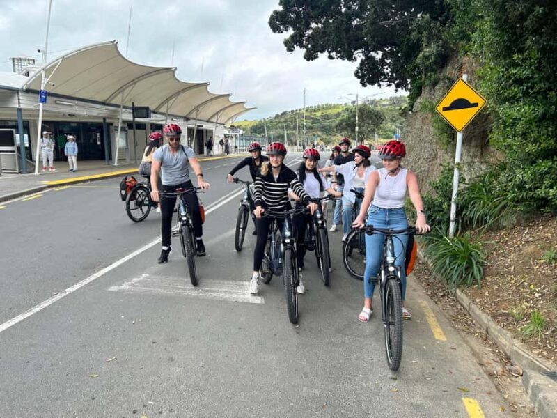 Waiheke Island: Electric Bike Rental - Key Points