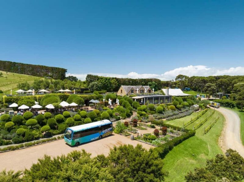 Waiheke Island: Ferry & Hop-On Hop-Off Explorer Bus Tickets - Discover Waiheke Island: Ferry & Hop-On Hop-Off Explorer Bus Tickets