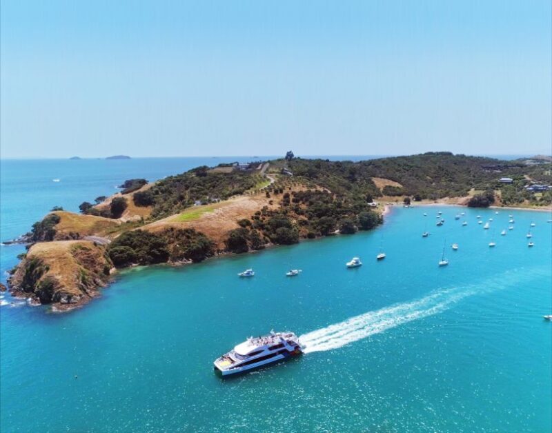 Waiheke Island: Ferry & Hop-On Hop-Off Explorer Bus Tickets - Final Words