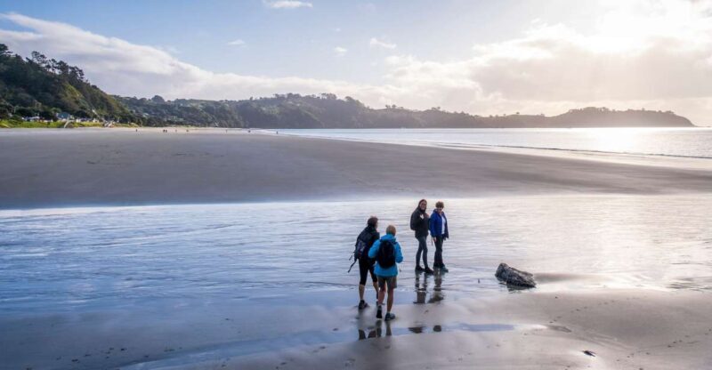 Waiheke Island: Forest and Beach Premium Guided Walk - A Complete Guide to Waiheke Islands Forest and Beach Walk