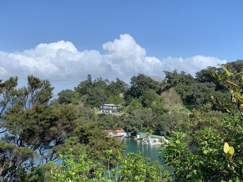 Waiheke Island: Forest and Beach Premium Guided Walk - Frequently Asked Questions