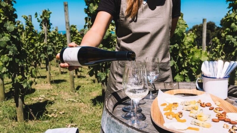 Waiheke Island Gourmet Food and Wine Tour with Platter Lunch - Key Points