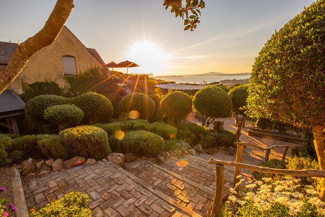 Waiheke Island Half Day Scenic Wine and Lunch - Key Points
