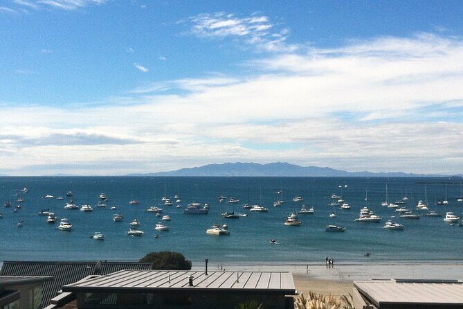 Waiheke Island Half Day Scenic Wine and Lunch - The Sum Up: Is This Tour for You?