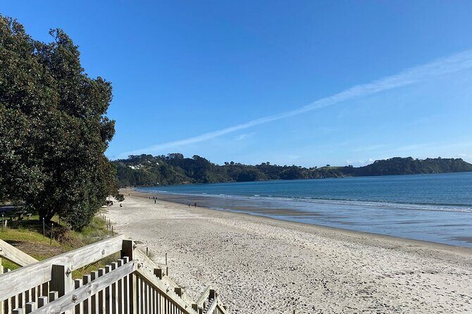 Waiheke Island Half Day Scenic Wine and Lunch - FAQ: Your Practical Questions Answered