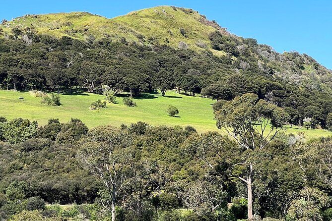 Waiheke Island History and Heritage Tour - The Sum Up