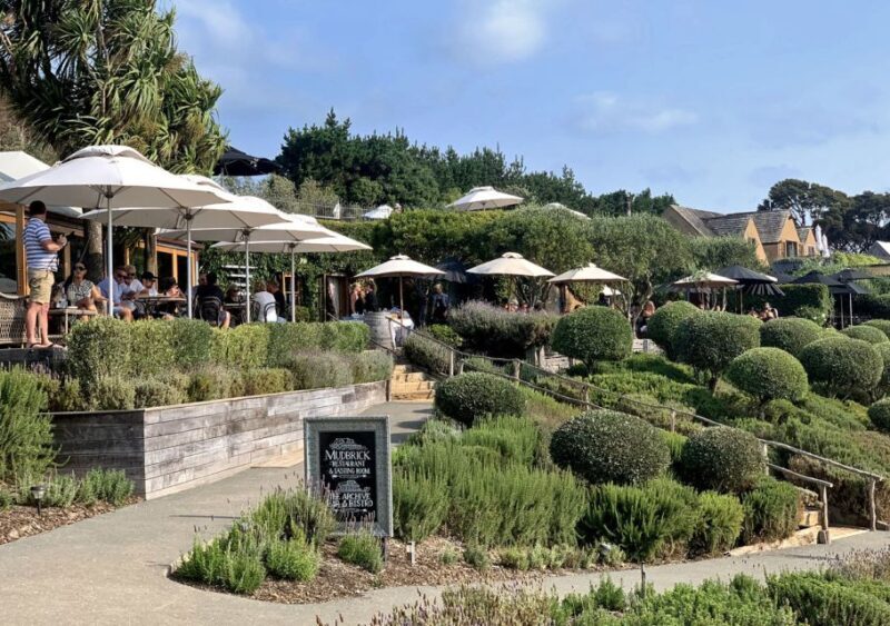 Waiheke Island: Premium Vineyard, Wine Tasting and Bush Walk - Break and Refreshments