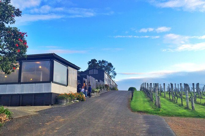Waiheke Island Premium Wine Tour with Tastings - Your Guide to the Waiheke Island Premium Wine Tour with Tastings