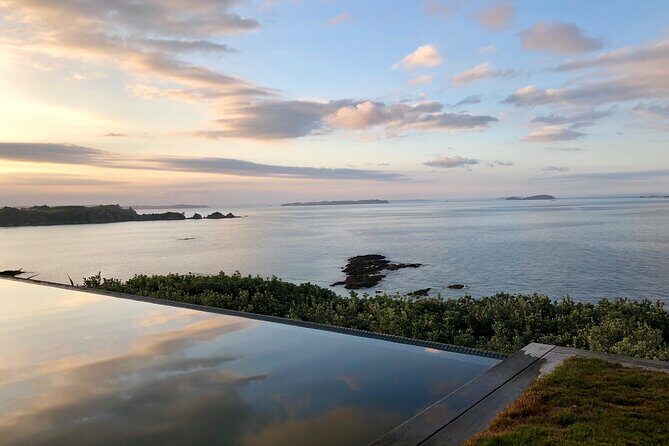 Waiheke Island Premium Wine Tour with Tastings - Key Points