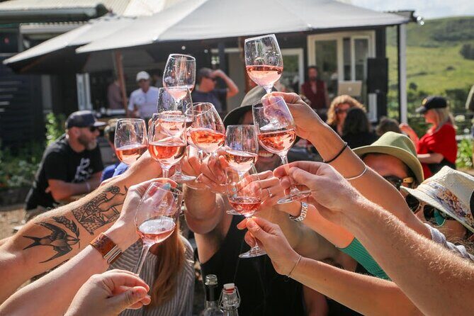 Waiheke Island Premium Wine Tour with Tastings - Who Should Consider This Tour?