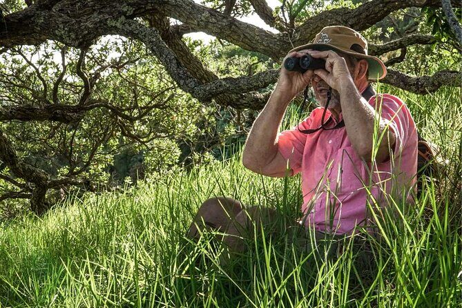 Waiheke Island Private Birding Tour - Waiheke Island Private Birding Tour: A Guide to New Zealand’s Birdlife Paradise