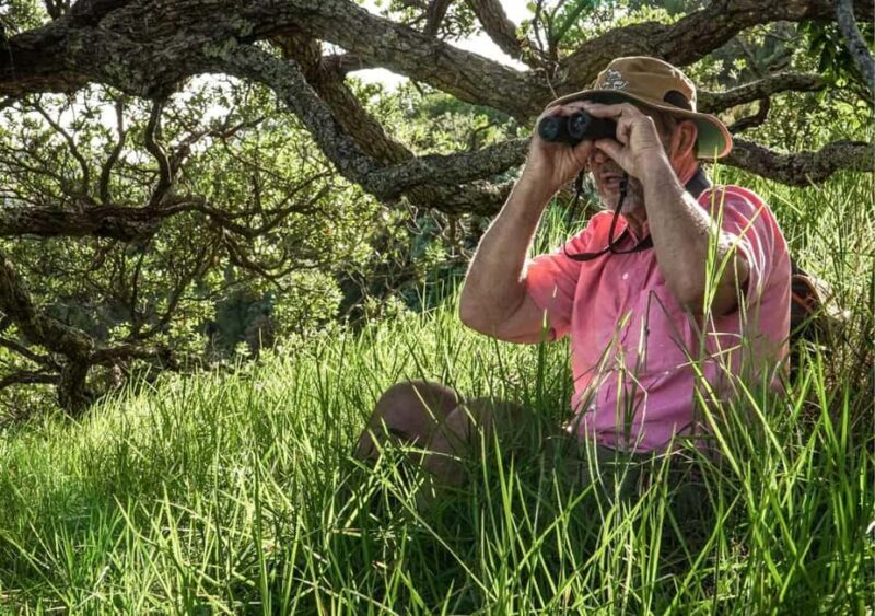 Waiheke Island: Private Birding Tour | Terra & Tide - Key Points