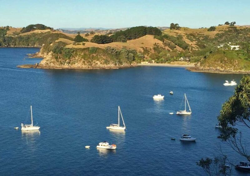 Waiheke Island: Private Guided Te Ara Hura 5-Day Walk - An In-Depth Look at the Walk Around Waiheke Island