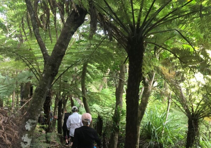 Waiheke Island: Private Guided Te Ara Hura 5-Day Walk - A Balanced Look at the Value