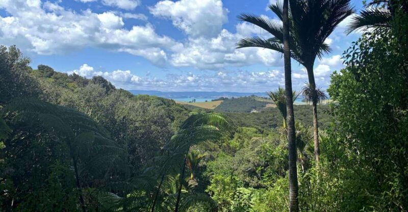 Waiheke Island: Private Guided Te Ara Hura 5-Day Walk - Final Thoughts – Who is This Tour Perfect For?