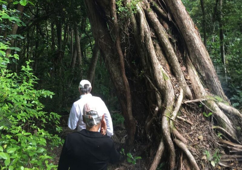 Waiheke Island: Private Guided Te Ara Hura 5-Day Walk - FAQ