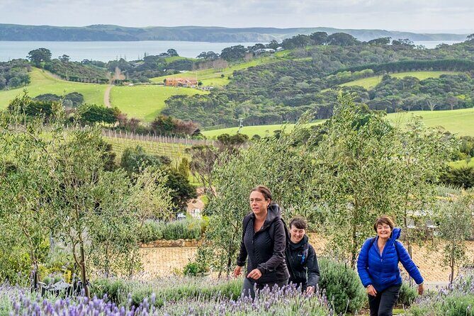 Waiheke Island Private History and Heritage Tour - Final Thoughts