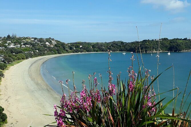Waiheke Island Private Tours - Exploring Waiheke Island with a Tailored Private Touch