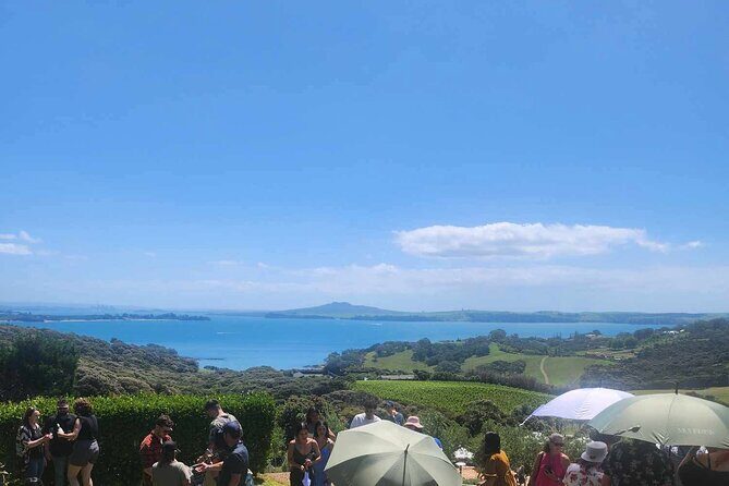 Waiheke Island Scenic Wine Tour with Gourmet Beachfront Lunch - Key Points