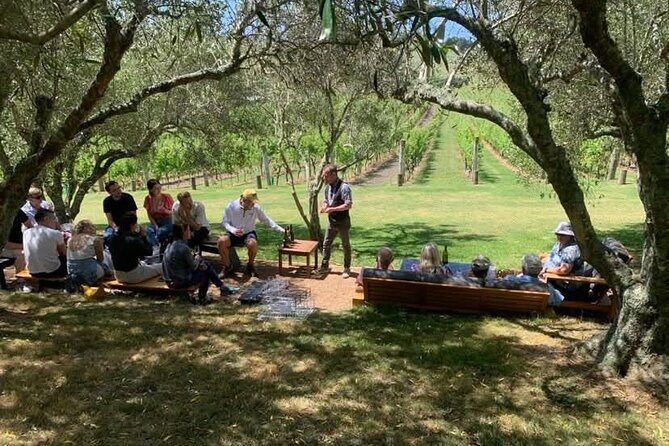 Waiheke Island Scenic Wine Tour with Gourmet Beachfront Lunch - FAQs