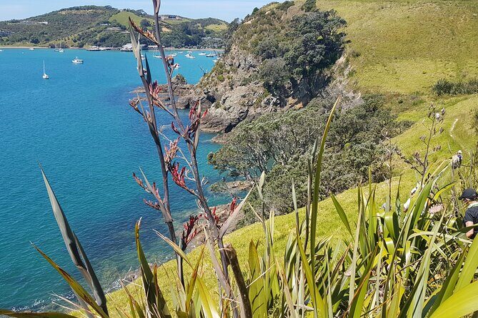 Waiheke Island Self Guided 4 Day Walking Adventure - An In-Depth Look at the Waiheke Island Self-Guided Walking Adventure