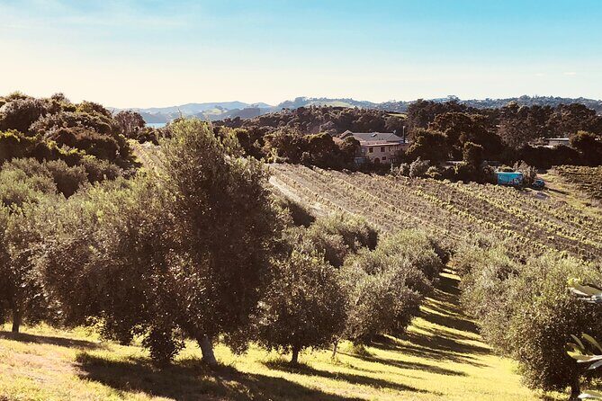 Waiheke Island: Sip & Savour Tour - FAQ