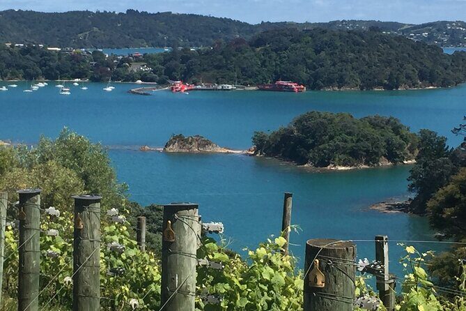 Waiheke Island Winery Tour - Waiheke Island Winery Tour: An Authentic Tasting & Sightseeing Experience Near Auckland