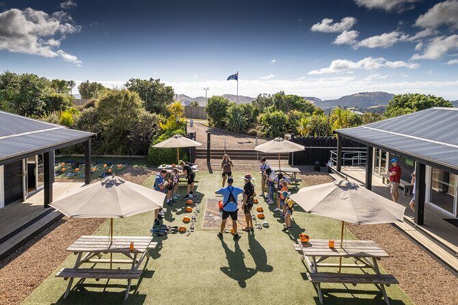 Waiheke Island: Zipline And Forest Walk - What’s Included and What to Consider