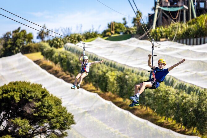 Waiheke Island: Zipline And Forest Walk - Who Should Book This Tour?