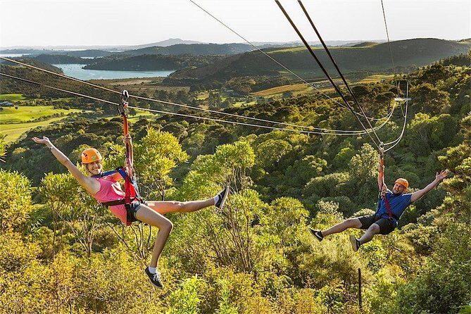 Waiheke Island: Zipline And Forest Walk - FAQ: Common Questions Answered