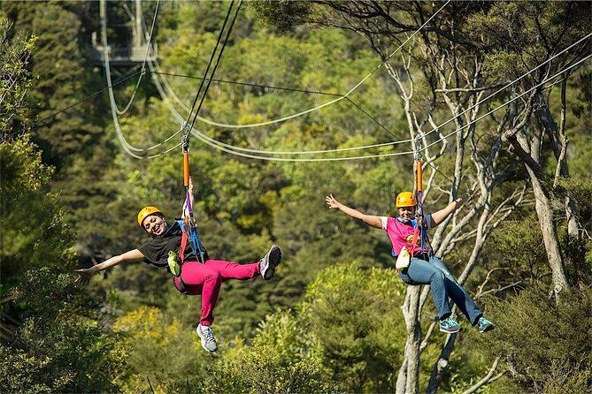 Waiheke Island: Zipline And Forest Walk - Final Thoughts