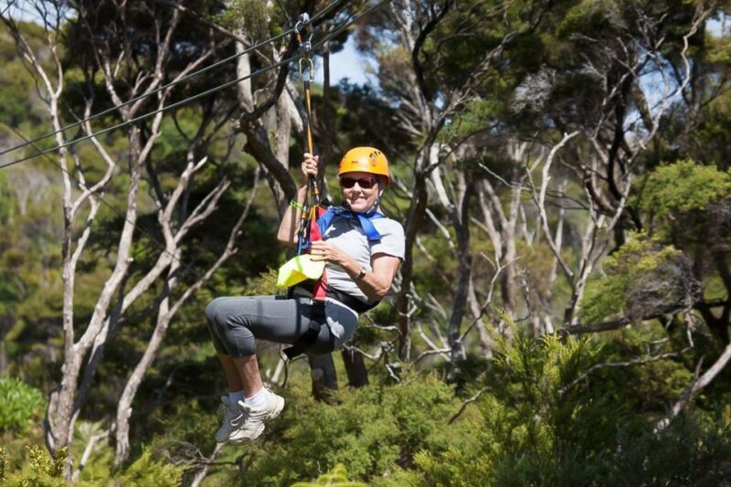 Waiheke Island: Zipline and Native Forest Adventure Trip - FAQ
