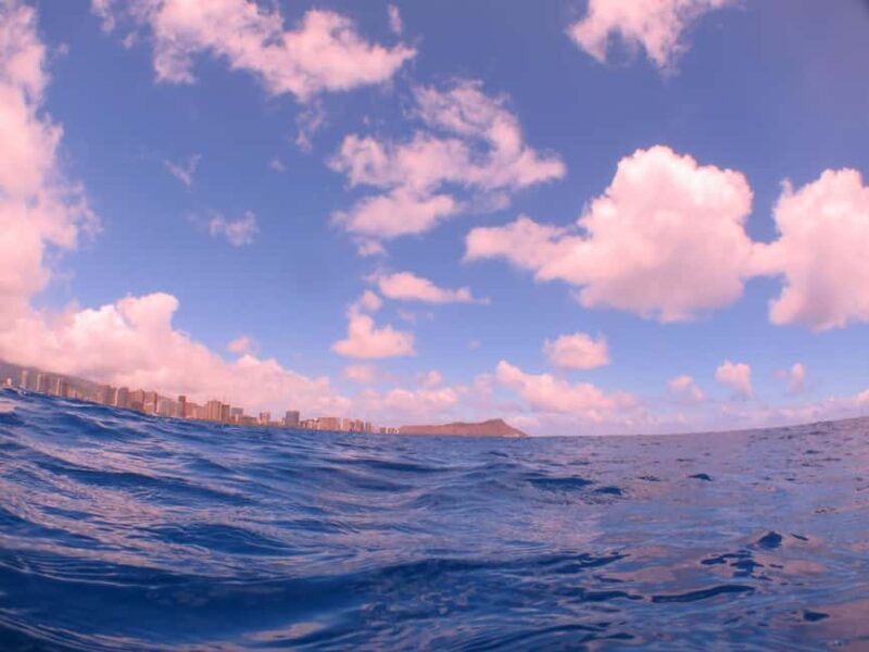 Waikiki: AM Paradise Honu Snorkeling - Itinerary Breakdown