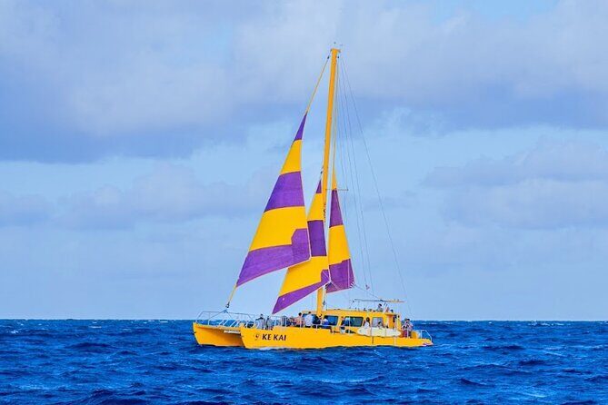 Waikiki Beach Sunset Sail - Who Should Book This Experience?