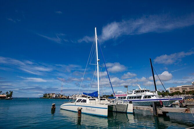 Waikiki Catamaran Adventure: Snorkel with Sea Turtles - Frequently Asked Questions