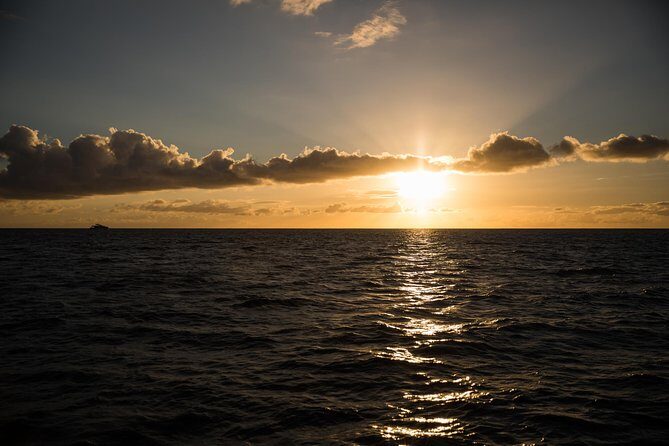 Waikiki Fireworks Dinner Cruise: Sail & Sparkle on Friday Nights - Authentic Guest Experiences and Insights