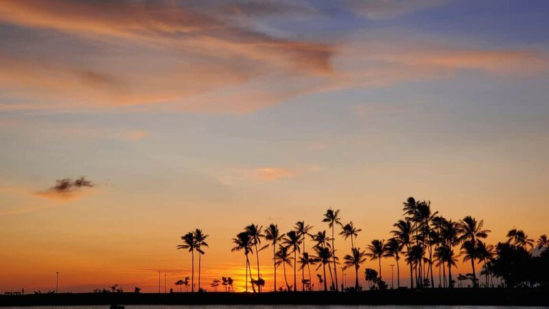 Waikiki: Friday Night Fireworks Catamaran Sail - Key Points