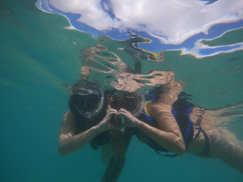 Waikiki: Honolulu Beginner Snorkeling Tour with Videos - Authentic Experiences and Honest Feedback