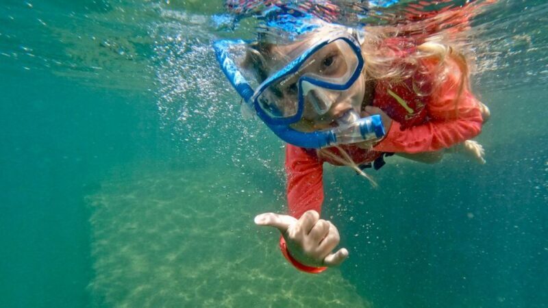 Waikiki: Honolulu Beginner Snorkeling Tour with Videos - Price and Value: Is It Worth It?
