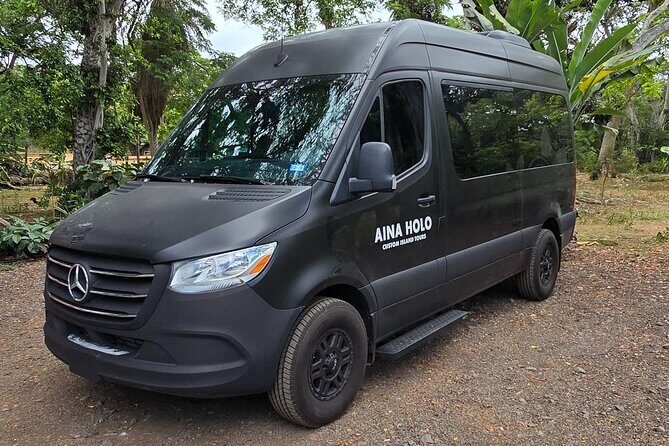 Waikiki Honolulu Private Airport Transfer Up to 10 Guests - Why This Transfer Works for You