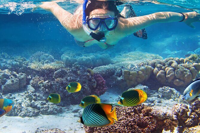 Waikiki Sail and Snorkel Adventure Best of Hawaii 2023 - Authentic Experience, Friendly Guides, and Unmatched Views