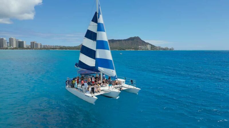 Waikiki: Sail and Turtle Snorkel Experience - Key Points