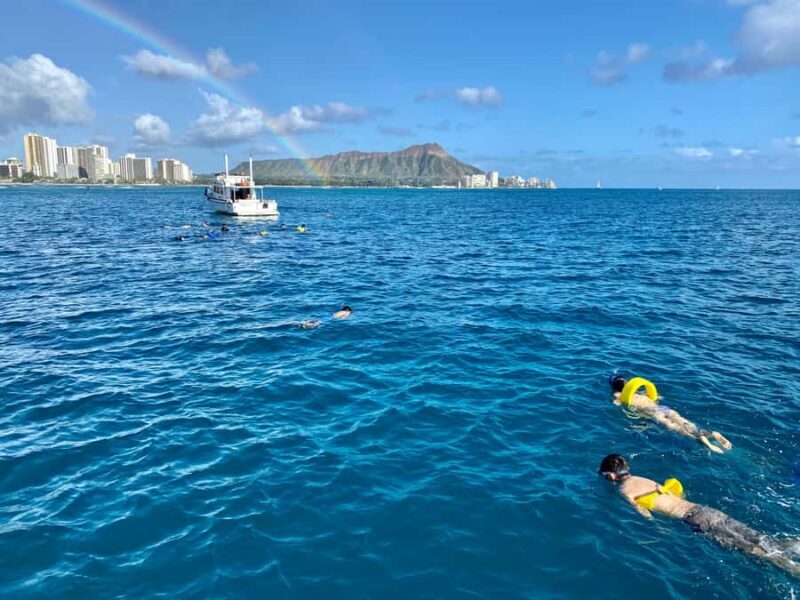 Waikiki: Sea Turtle Snorkeling Boat Tour (6 People Max) - The Sum Up: Who Will Love This Tour?